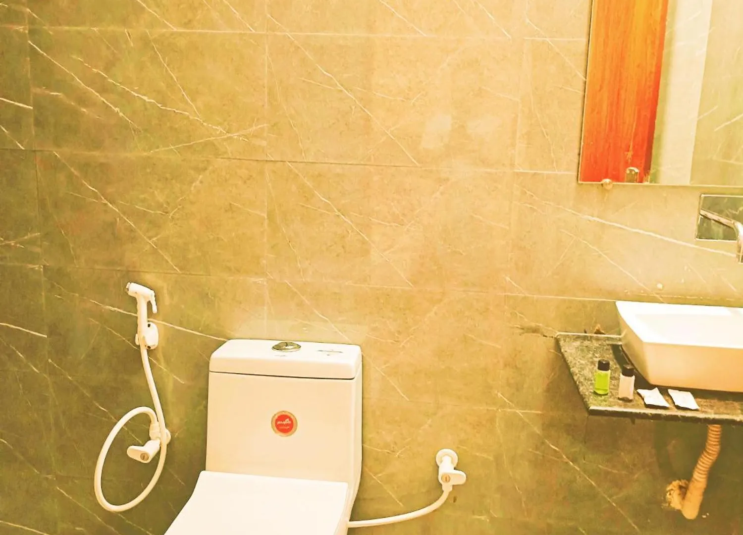 Hotel Ivy Plaza New Delhi